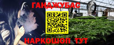 индика Моздок