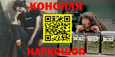 индика Моздок