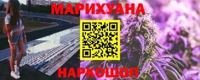 индика Моздок