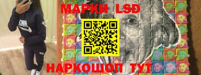 индика Моздок