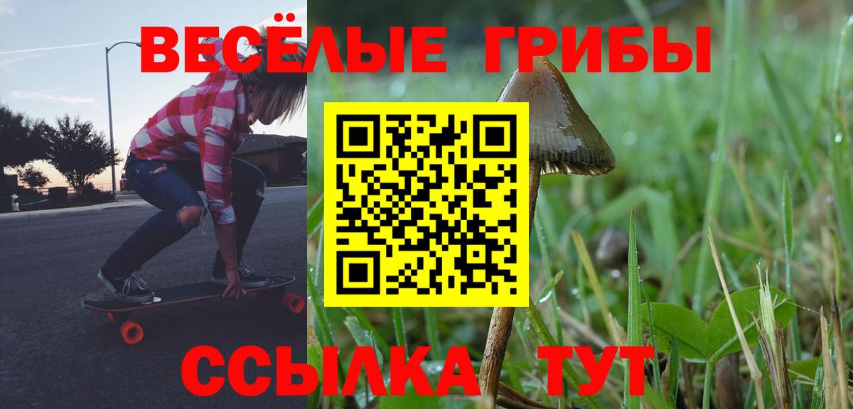 Волгоград  Псилоцибиновые грибы мухоморы  Вход с VPN 